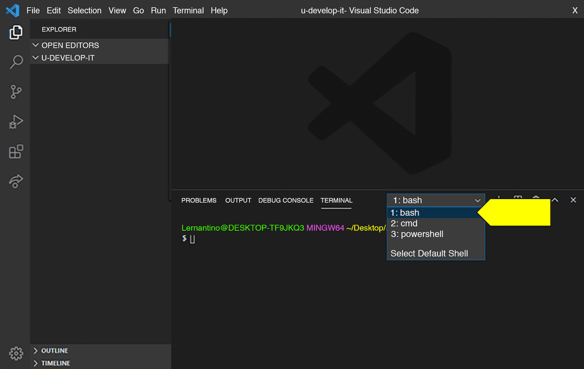 "bash" is highlighted in a dropdown menu in the CLI at the bottom of the VS Code screen.