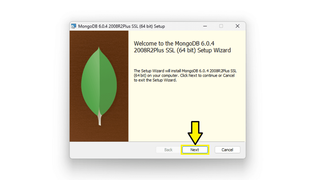 Welcome screen for the MongoDB setup wizard with the Next button active at the bottom.